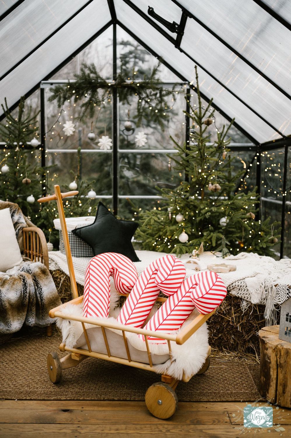 świąteczna poduszka laska w biało czerwone paski od Bettys Home w dekoracyjnym wózku w szklarni